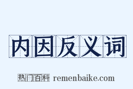 内因反义词是什么意思的图片
